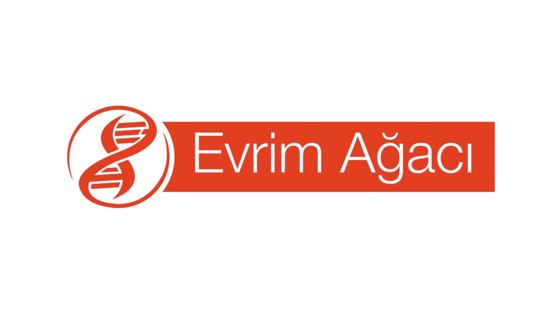 Evrim Ağacı